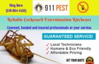 Pest Control Kitchener image 11